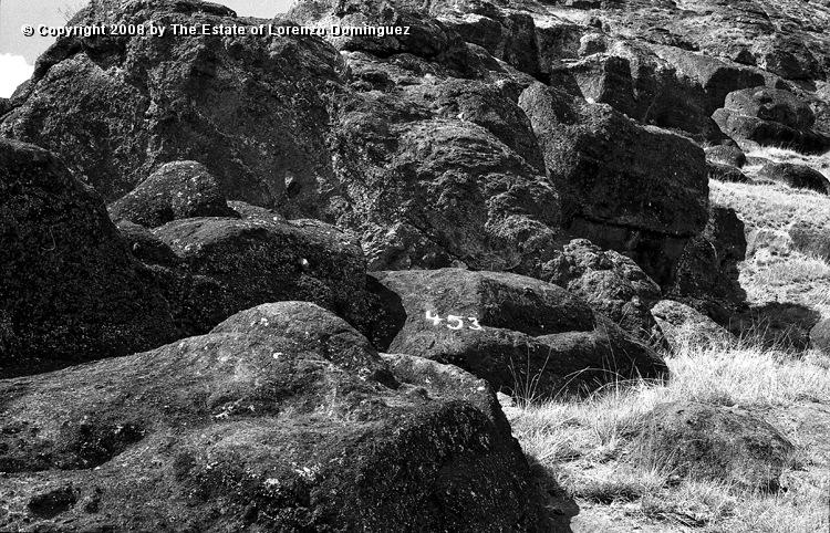 RRI_Cantera_Interior_14.jpg - Easter Island. 1960. Interior slope of Rano Raraku. The "carved quarry."